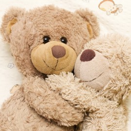 teddy_bear_toys